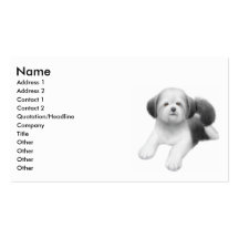 Welpen-Visitenkarte Shih Tzu