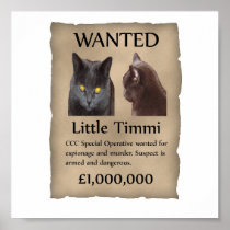 Wenig Timmi wollte Plakat