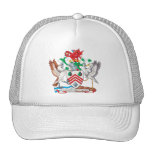 WestGlamorgan Wappen Netzcap