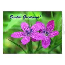 Wildblumen Ostern Karte