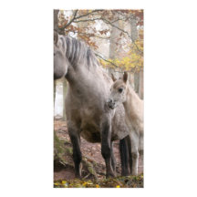 Wilde Pferde Photo Grußkarte
