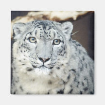 Wilde Tiere Kühlschrankmagnet