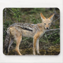 Wilde Tiere mousepad