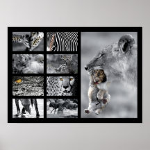 Wildlife Animals Posterdruck
