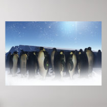 Winter-Pinguin-Plakat