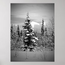 Winter-Schnee Posters