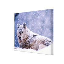 Winter-Wolf-stillstehender Leinwand-Druck