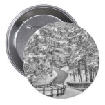 Winter Wonderland Pin