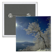 Winterlandschaft, Neu-England Buttons