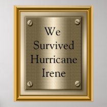 Wir überlebten Hurrikan-Irene-Plakat-Druck-Zeichen