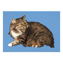 Wirklich verärgerte Katze Einladungen