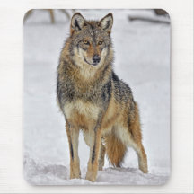 Wolf auf Uhr Mousepads