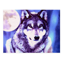 Wolf-Blick - einsamer Wolf Postkarten