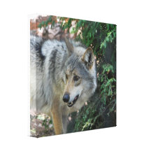 Wolf-Knäuel-Leinwand-Druck Gespannte Galerie Drucke