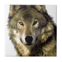Wolf-Porträt Keramikkachel
