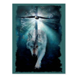 WOLF u. EAGLE-Tier-Postkarte