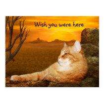Wunsch waren Sie hier Miezekatze postkarten