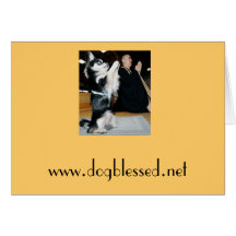 www.dogblessed.net cartes de vœux