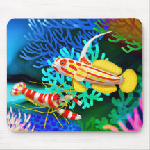 Yasha Hase Goby-u. Randalls Pistolen-Garnele Mouse