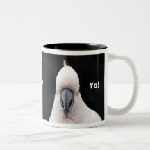 Yo ! Tasse
