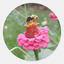 Zinnias Sticker