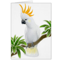 Zitronengelbe Cockatoo-Gruß-Karte mit Haube