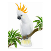 Zitronengelbe Cockatoo-Postkarte mit Haube
