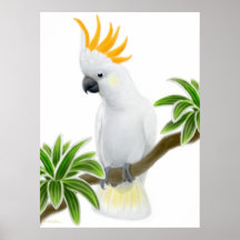 Zitronengelbes Cockatoo-Plakat mit Haube