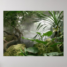 Zoo-Regenwald-Ausstellungs-Plakat