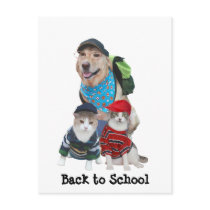 Zurück zu Schule