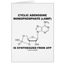 Zyklisches Adenosin-Monophosphat (cAMP) von Atp Karte