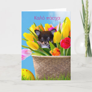 Κ α λ ό π ά χ Chihuahua chiot carte de voeux