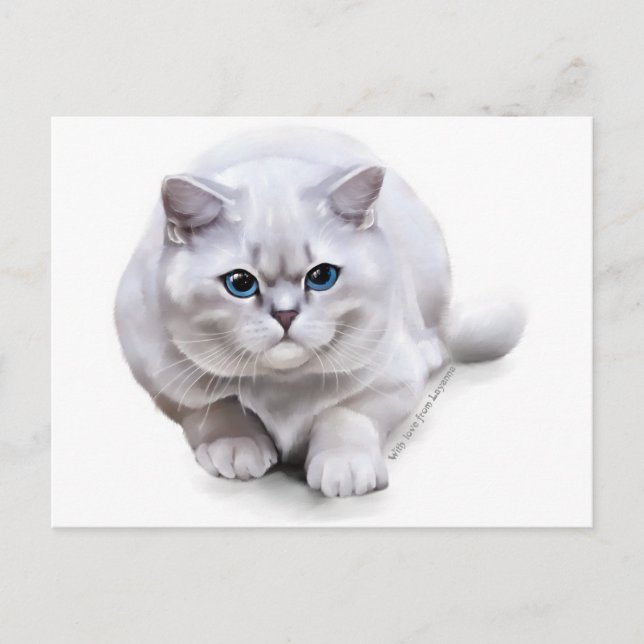 С bei der Rasse British Shorthair Postkarte (Vorderseite)