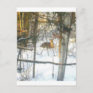 ґ ḯ ℯ ✐ ♏ tiℴtℯ postkarte