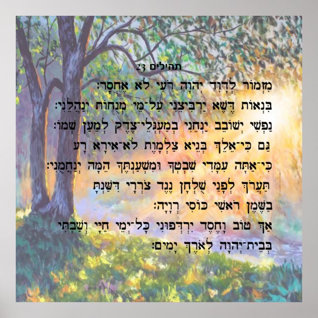 ת ה י ל ם 23 POSTER (Vorne)