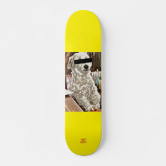 うちの犬 SKATEBOARD