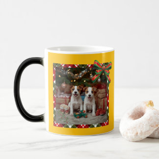 かわいいジャックラッセルテリアの子犬たちとクリスマス♡ VERWANDLUNGSTASSE