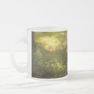 やわらかなひかり MATTGLASTASSE
