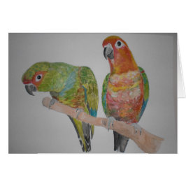 オウムパロット Conure Paare, die heraus hängen