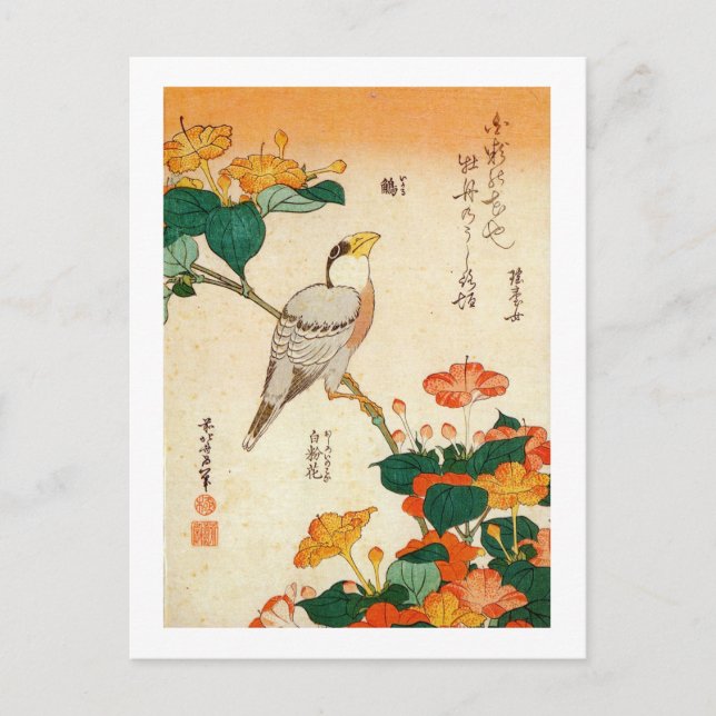 オ シ ロ に ナ 鳥, Jalapa und Mirabilia Jalapa, Hokusai Postkarte (Vorderseite)