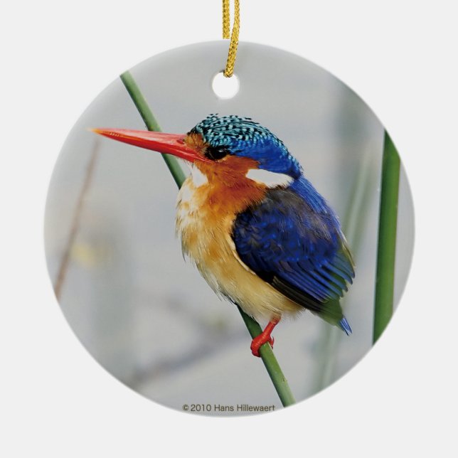 カワセミの優良製品 KERAMIKORNAMENT (Vorne)