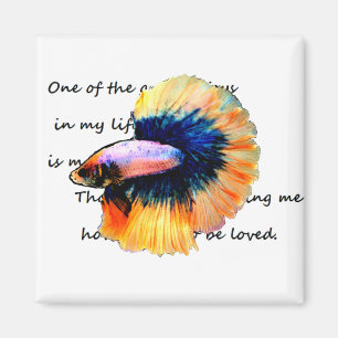 グ betta(魚)闘 ネ magnet