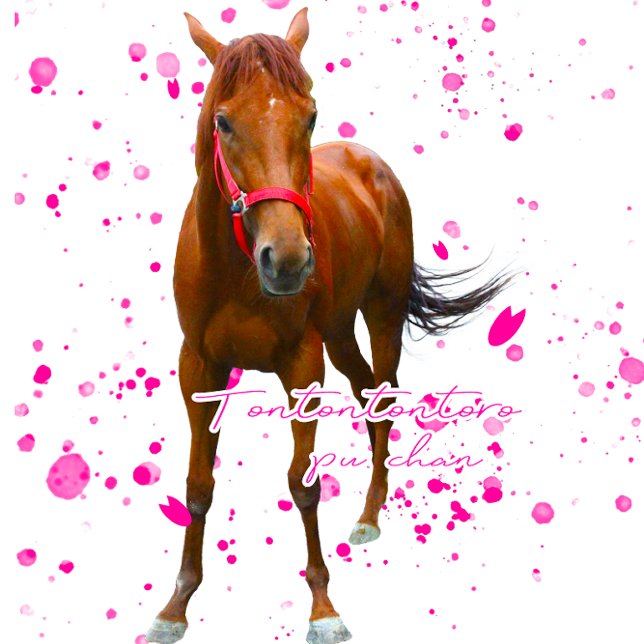 ケイメイ牧場　トントントントロちゃん　立ち姿＆総柄 TRAGETASCHE (Von Creator hochgeladen)