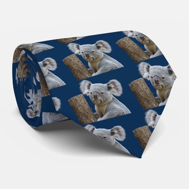 コアラ KRAWATTE (Gerollt)