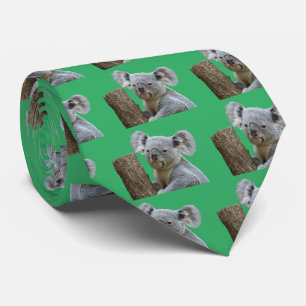 コ ア ラ KRAWATTE