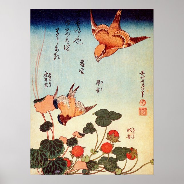 ゴ ヘ 小, 北 Bird und Mock Strawberry. Poster (Vorne)