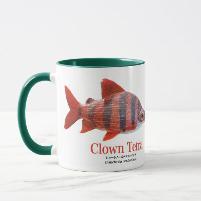 ショート・ノーズ・クラウン・テトラ TASSE (Links)