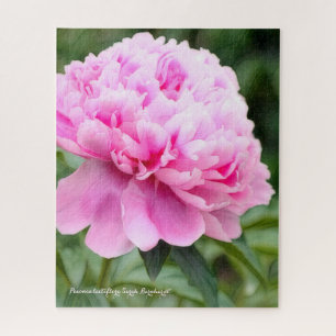 シ ヤ ク [花] グズ