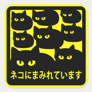 ステッカー　「ネコにまみれています」イエロー QUADRATISCHER AUFKLEBER