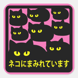 ステッカー　「ネコにまみれています」ピンク QUADRATISCHER AUFKLEBER